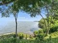 9194NorthBayview-13