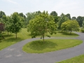 Circlular-Drive-and-Landscaping