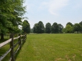 Pasture