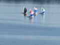 sailboat-races