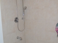 Shower in Laundry Room