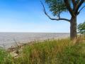 20381Glanville-32