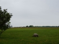 Expansive Views