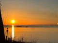IMG_0910