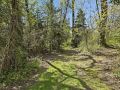 8-web-or-mls-55Howes-6